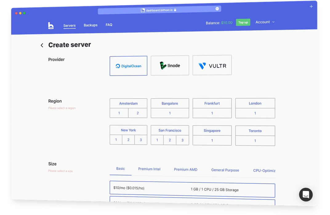 Bithost dashboard showing server management interface