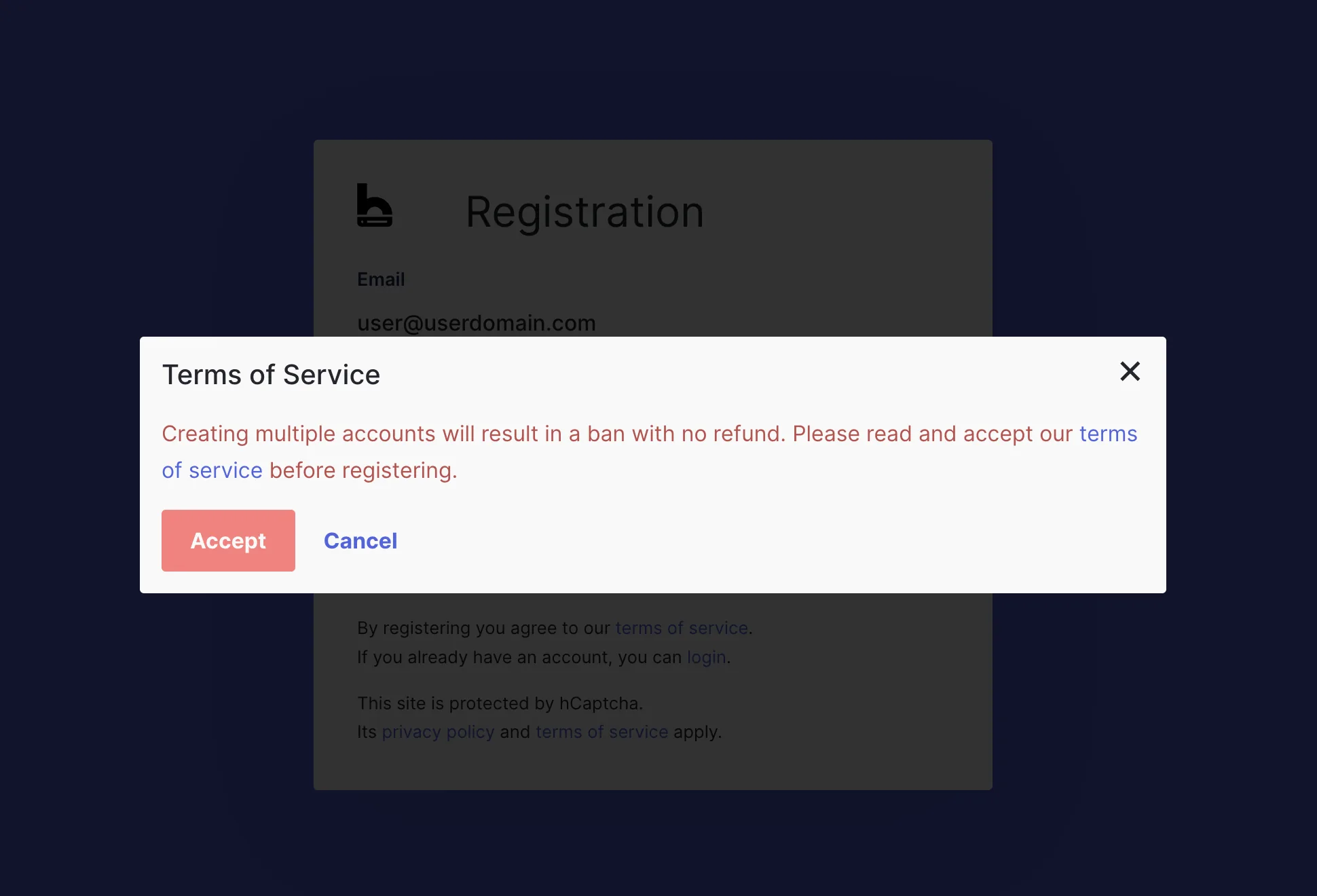 bithost registration - accepting the terms of
service