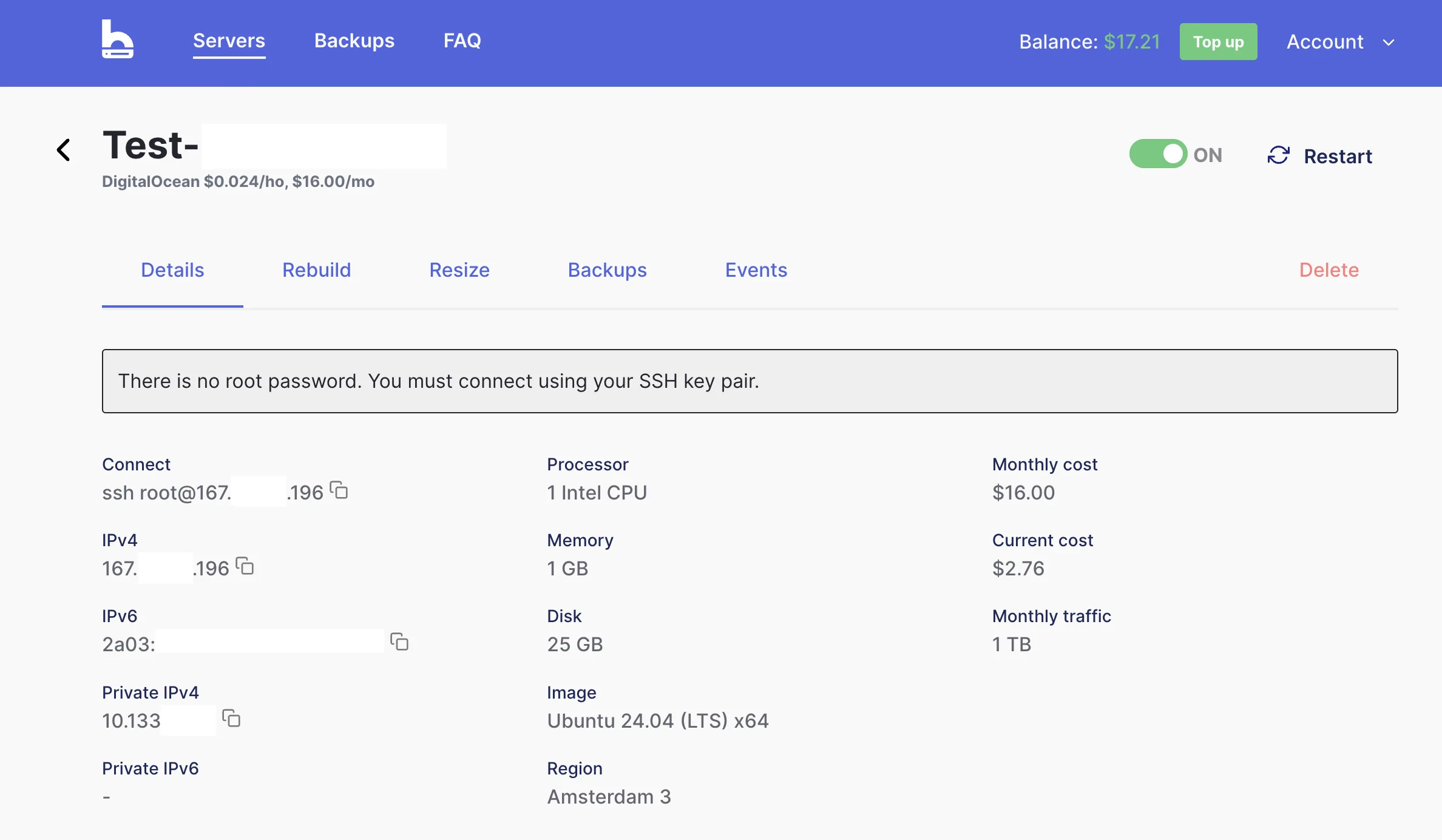 bithost server dashboard - Details
tab